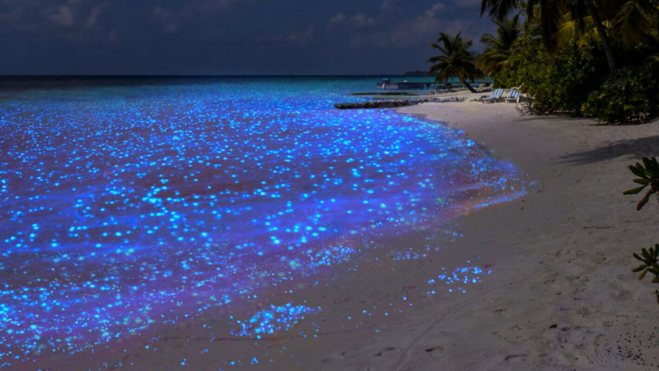 Vaadhoo Island glowing with bioluminescent waters at night.