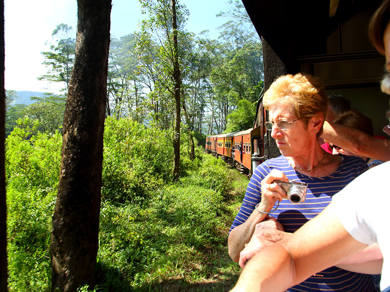 Sri Lanka 1 Week Tour - Best of Lanka Tours