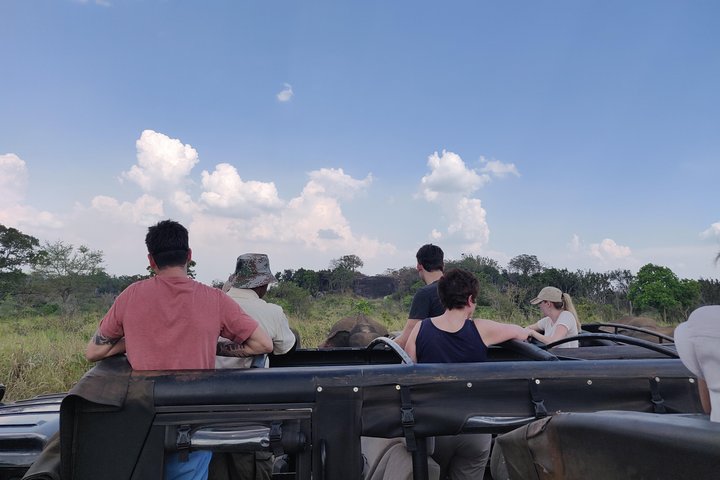 Hurlu eco park safari with jeep & Entrance ticket