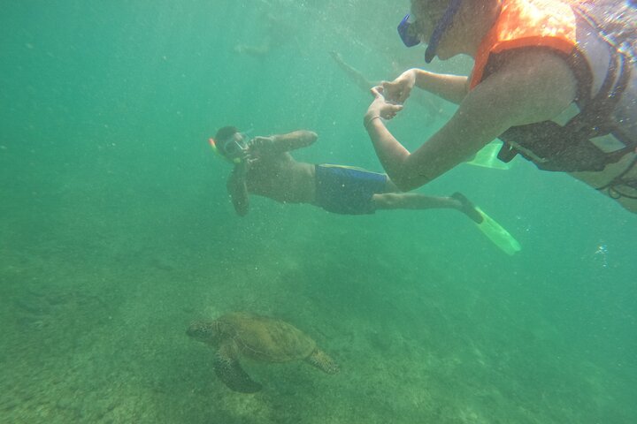 Mirissa: Snorkeling Experience with Turtles