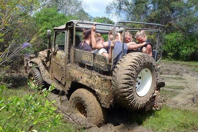 Minneriya: Minneriya National Park Private Safari