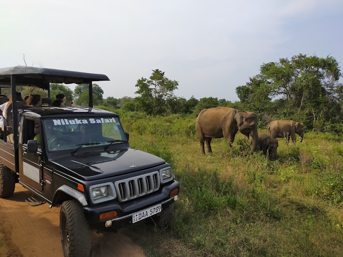 Explore Hikkaduwa, Galle & Yala